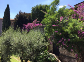 Le finestre sugli ulivi